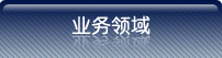 业务领域